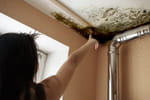 Une locataire dissuade son propriétaire d'agir contre l'humidité, puis le force à rembourser les loyers en justice