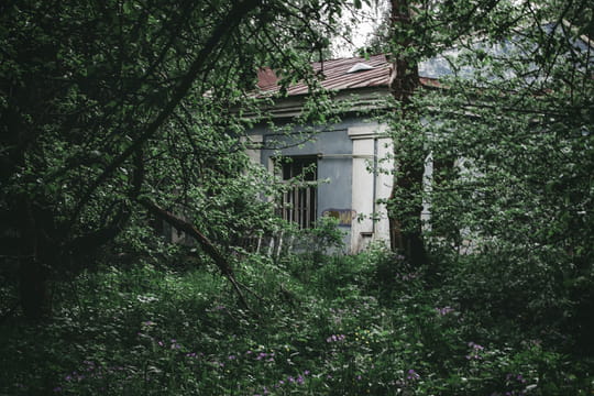 Justice&nbsp;: un voisin peut s'approprier le bien immobilier d'un propri&eacute;taire peu vigilant sans rien lui payer